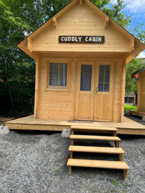 Cuddly Cabin At The Lake On Muskoka Shores